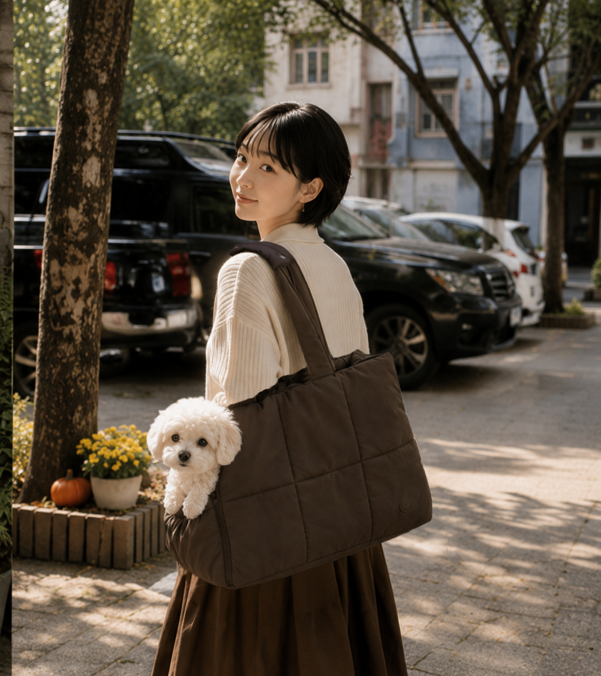ブラウンのFUWAI よりそいネストと出かける様子